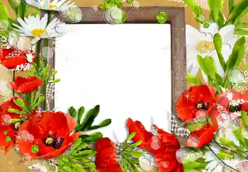 Fotografický efekt z kategorie Ženské fotorámečky № 3491