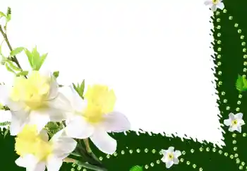Fotografický efekt z kategorie Ženské fotorámečky № 35016