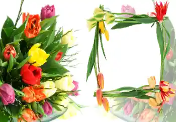 Fotografický efekt z kategorie Ženské fotorámečky № 40387