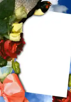 Fotografický efekt z kategorie Ženské fotorámečky № 42754