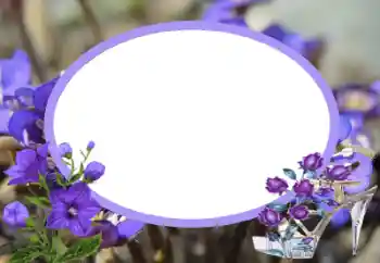 Fotografický efekt z kategorie Ženské fotorámečky № 43545