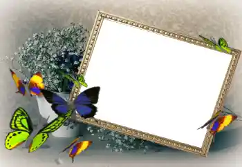 Fotografický efekt z kategorie Ženské fotorámečky № 43592