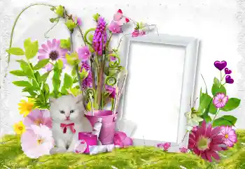 Fotografický efekt z kategorie Ženské fotorámečky № 45889