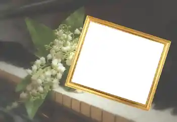 Fotografický efekt z kategorie Ženské fotorámečky № 45929