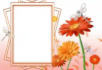 Fotografický efekt z kategorie Ženské fotorámečky № 47199