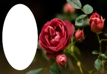 Fotografický efekt z kategorie Ženské fotorámečky № 47314