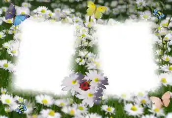 Fotografický efekt z kategorie Ženské fotorámečky № 49398