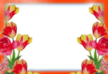 Fotografický efekt z kategorie Ženské fotorámečky № 49414