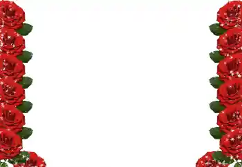 Fotografický efekt z kategorie Ženské fotorámečky № 49424