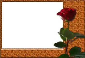 Fotografický efekt z kategorie Ženské fotorámečky № 49427