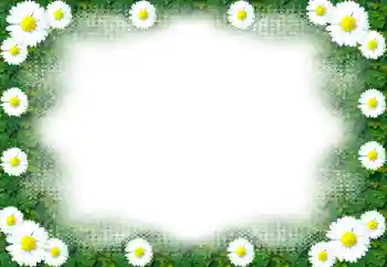 Fotografický efekt z kategorie Ženské fotorámečky № 49443