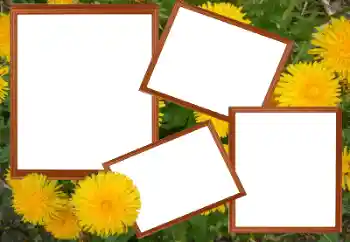 Fotografický efekt z kategorie Ženské fotorámečky № 49448