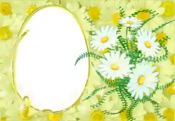 Fotografický efekt z kategorie Ženské fotorámečky № 50878