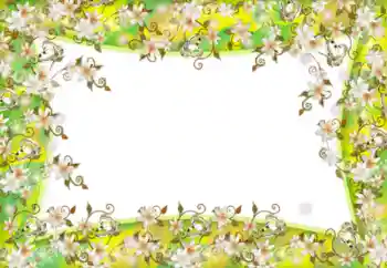 Fotografický efekt z kategorie Ženské fotorámečky № 52181