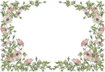 Fotografický efekt z kategorie Ženské fotorámečky № 55495