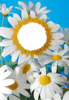 Fotografický efekt z kategorie Ženské fotorámečky № 56606