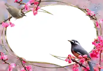 Fotografický efekt z kategorie Ženské fotorámečky № 56627