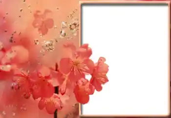 Fotografický efekt z kategorie Ženské fotorámečky № 57711