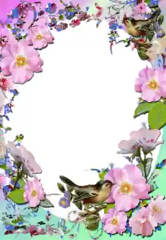 Fotografický efekt z kategorie Ženské fotorámečky № 58779