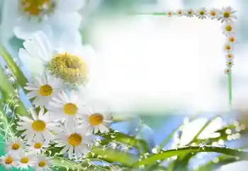 Fotografický efekt z kategorie Ženské fotorámečky № 59087