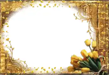 Fotografický efekt z kategorie Ženské fotorámečky № 60398