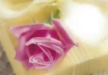 Fotografický efekt z kategorie Ženské fotorámečky № 64263