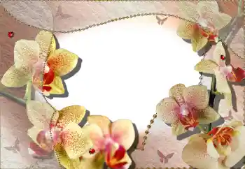 Fotografický efekt z kategorie Ženské fotorámečky № 64386