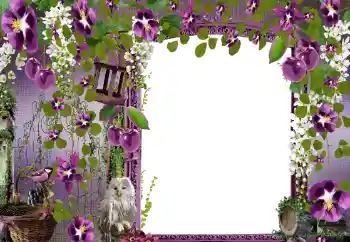 Fotografický efekt z kategorie Ženské fotorámečky № 68582