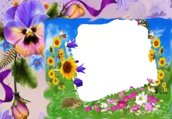 Fotografický efekt z kategorie Ženské fotorámečky № 68630