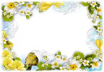 Fotografický efekt z kategorie Ženské fotorámečky № 68720