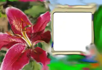 Fotografický efekt z kategorie Ženské fotorámečky № 69843