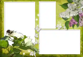 Fotografický efekt z kategorie Ženské fotorámečky № 70903