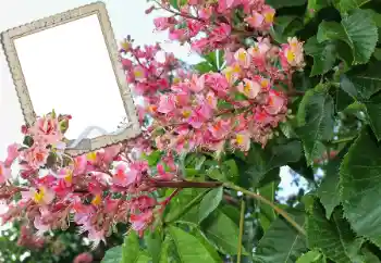 Fotografický efekt z kategorie Ženské fotorámečky № 72109