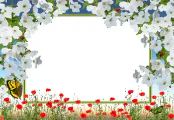 Fotografický efekt z kategorie Ženské fotorámečky № 72133