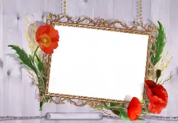 Fotografický efekt z kategorie Ženské fotorámečky № 7499 Fotografický efekt z kategorie Ženské fotorámečky № 7499
