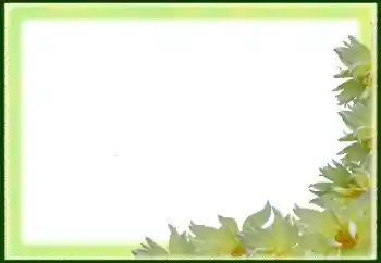 Fotografický efekt z kategorie Ženské fotorámečky № 79029