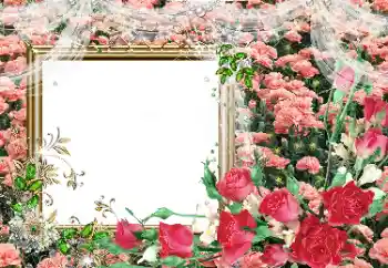 Fotografický efekt z kategorie Ženské fotorámečky № 80390