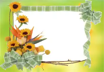 Fotografický efekt z kategorie Ženské fotorámečky № 81823