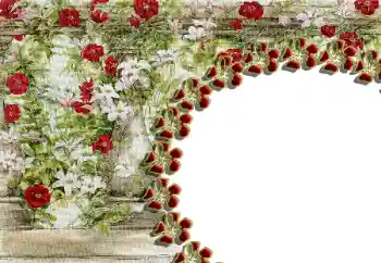 Fotografický efekt z kategorie Ženské fotorámečky № 85429