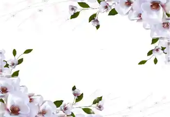 Fotografický efekt z kategorie Ženské fotorámečky № 87722