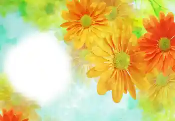 Fotografický efekt z kategorie Ženské fotorámečky № 91723