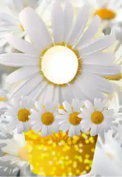 Fotografický efekt z kategorie Ženské fotorámečky № 91798