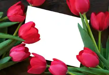 Fotografický efekt z kategorie Ženské fotorámečky № 93458