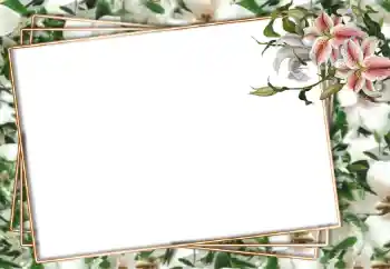 Fotografický efekt z kategorie Ženské fotorámečky № 94751