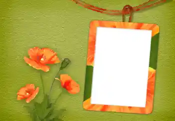 Fotografický efekt z kategorie Ženské fotorámečky № 94833