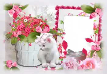 Fotografický efekt z kategorie Ženské fotorámečky № 97470