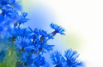 Fotografický efekt z kategorie Ženské fotorámečky № 97638