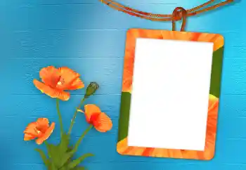 Fotografický efekt z kategorie Ženské fotorámečky № 98705