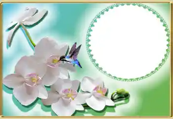 Fotografický efekt z kategorie Ženské fotorámečky № 99814